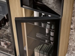 Smoked glass cabinet fronts on Class bathroom storage cabinet