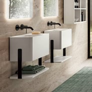 Wall mount basin with integrated lower shelf