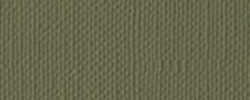 Verde Kiwi