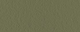 Verde Kiwi