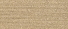 Brushed Gold Sand