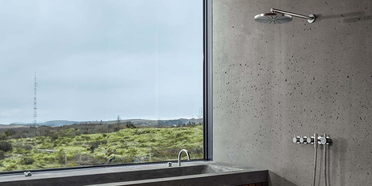 Shower head in a bathroom with a green cityscape out the nearby window