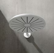 Wide, flat, circular white showerhead