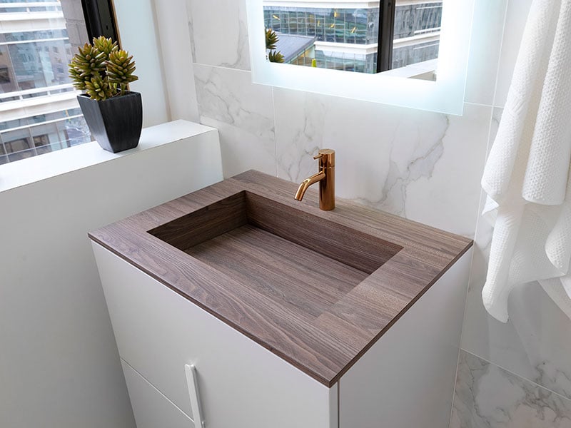 modern sink on luxury vanity
